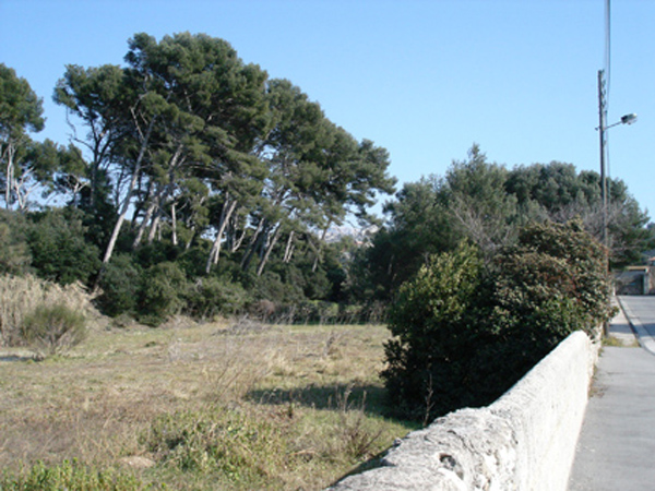Atelier mosségimmig - Schema de cohérence urbaine la Soude, Marseille